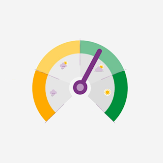 beleidsdekkingsgraad-maand-332x332